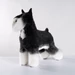MODEL KUTYA - törpe schnauzer