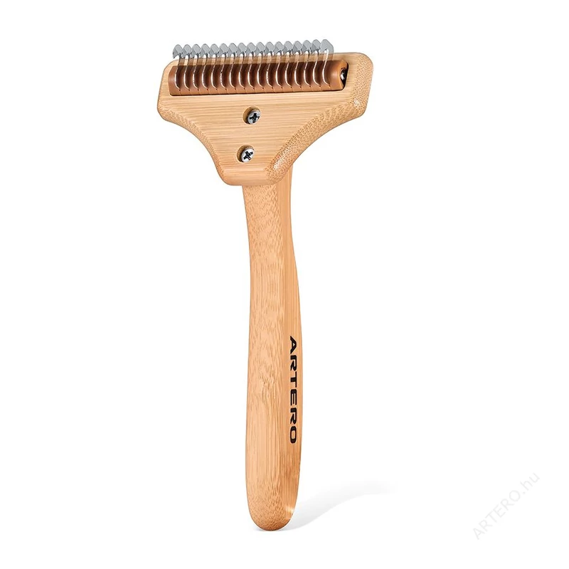 ALJSZŐR KISZEDŐ - LEO