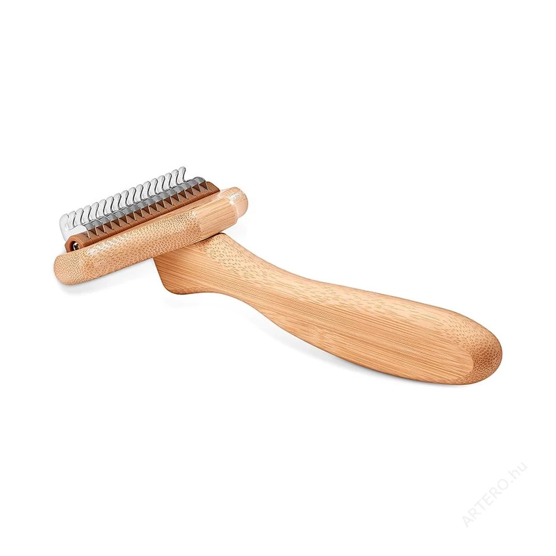 ALJSZŐR KISZEDŐ - LEO