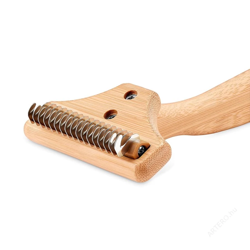 ALJSZŐR KISZEDŐ - LEO